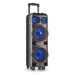 Altavoces NGS WILD DUB 1 Negro 300 W 300W